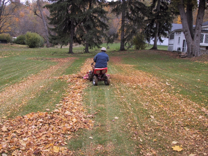 Click to see big picture (676x507 pixels; 371 KB))