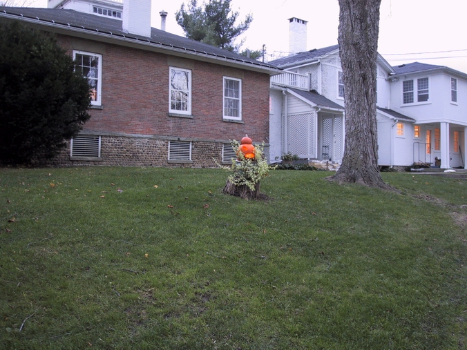 Click to see big picture (676x507 pixels; 306 KB))