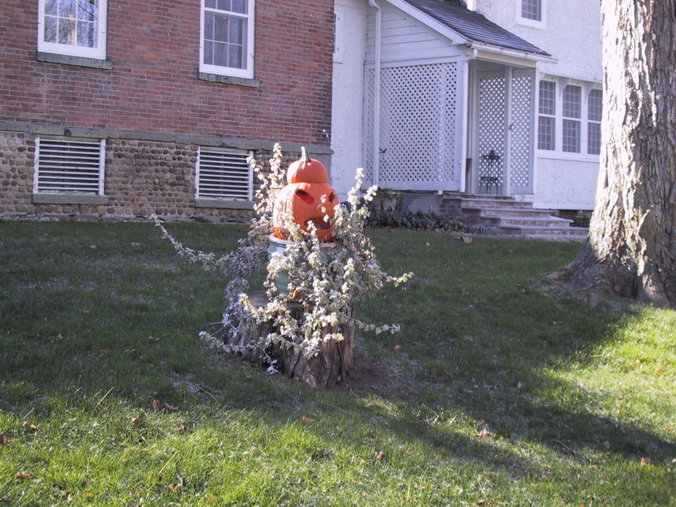 Click to see big picture (676x507 pixels; 419 KB))