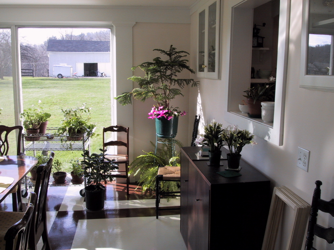 Click to see big picture (676x507 pixels; 350 KB))