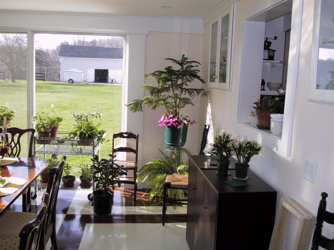 Click to see big picture (676x507 pixels; 359 KB))