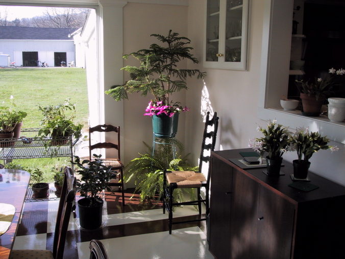 Click to see big picture (676x507 pixels; 350 KB))