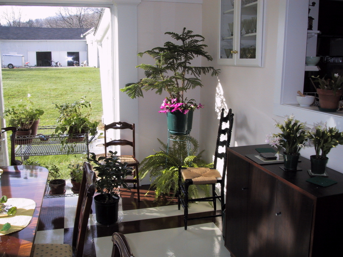 Click to see big picture (676x507 pixels; 362 KB))