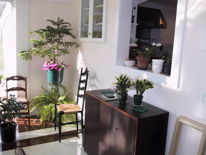 Click to see big picture (676x507 pixels; 328 KB))