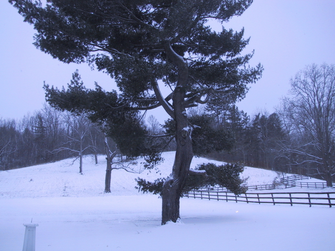 Click to see big picture (676x507 pixels; 361 KB))