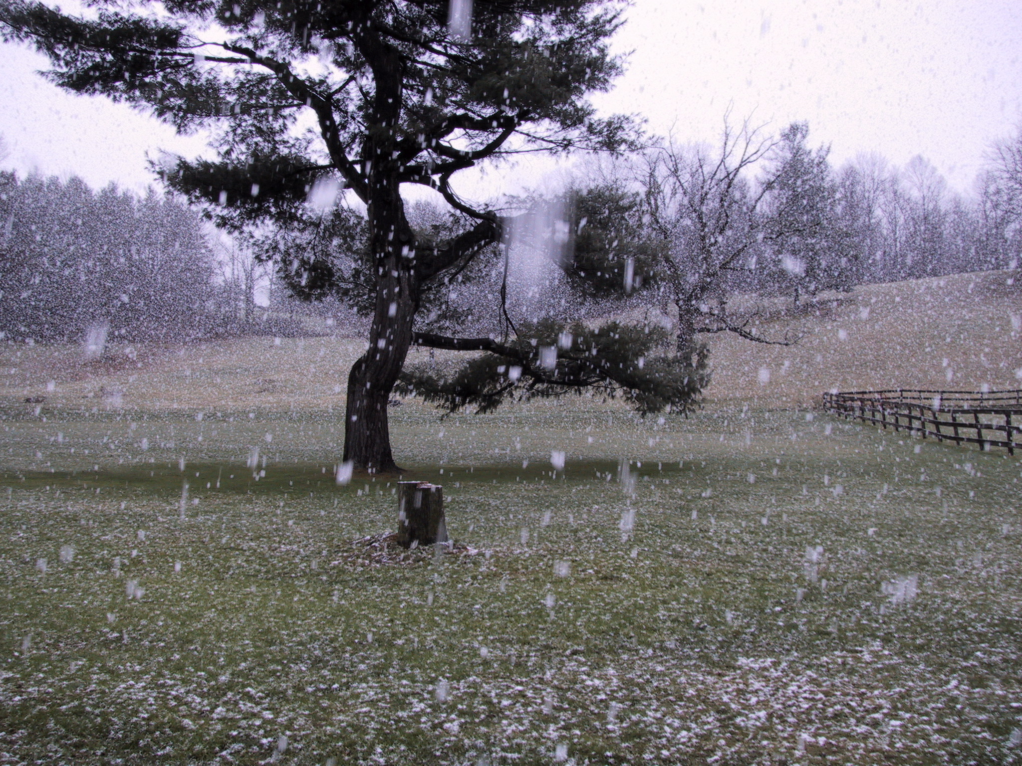 Click to see big picture (2048x1536 pixels; 1439 KB))