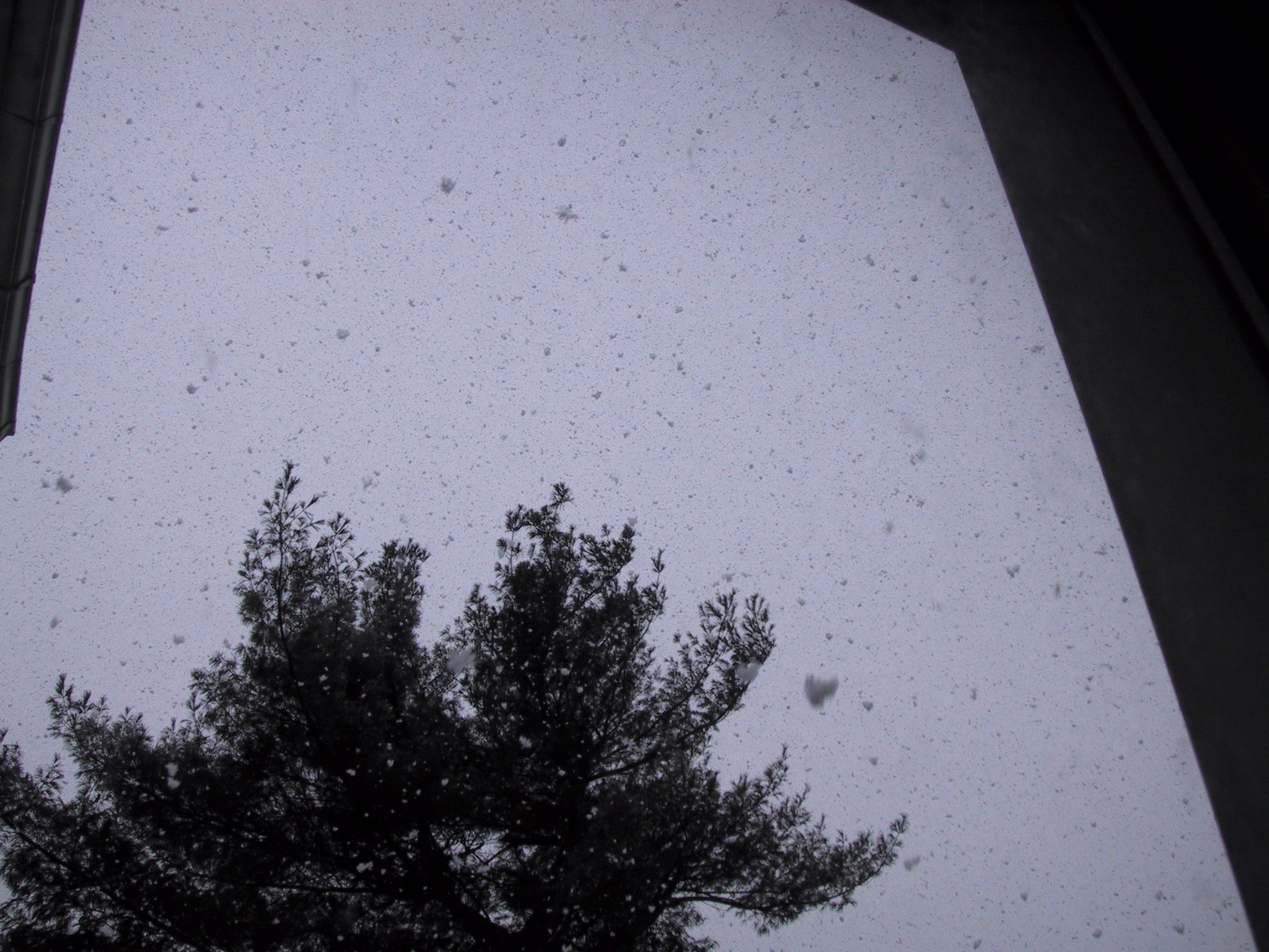 Click to see big picture (2048x1536 pixels; 972 KB))