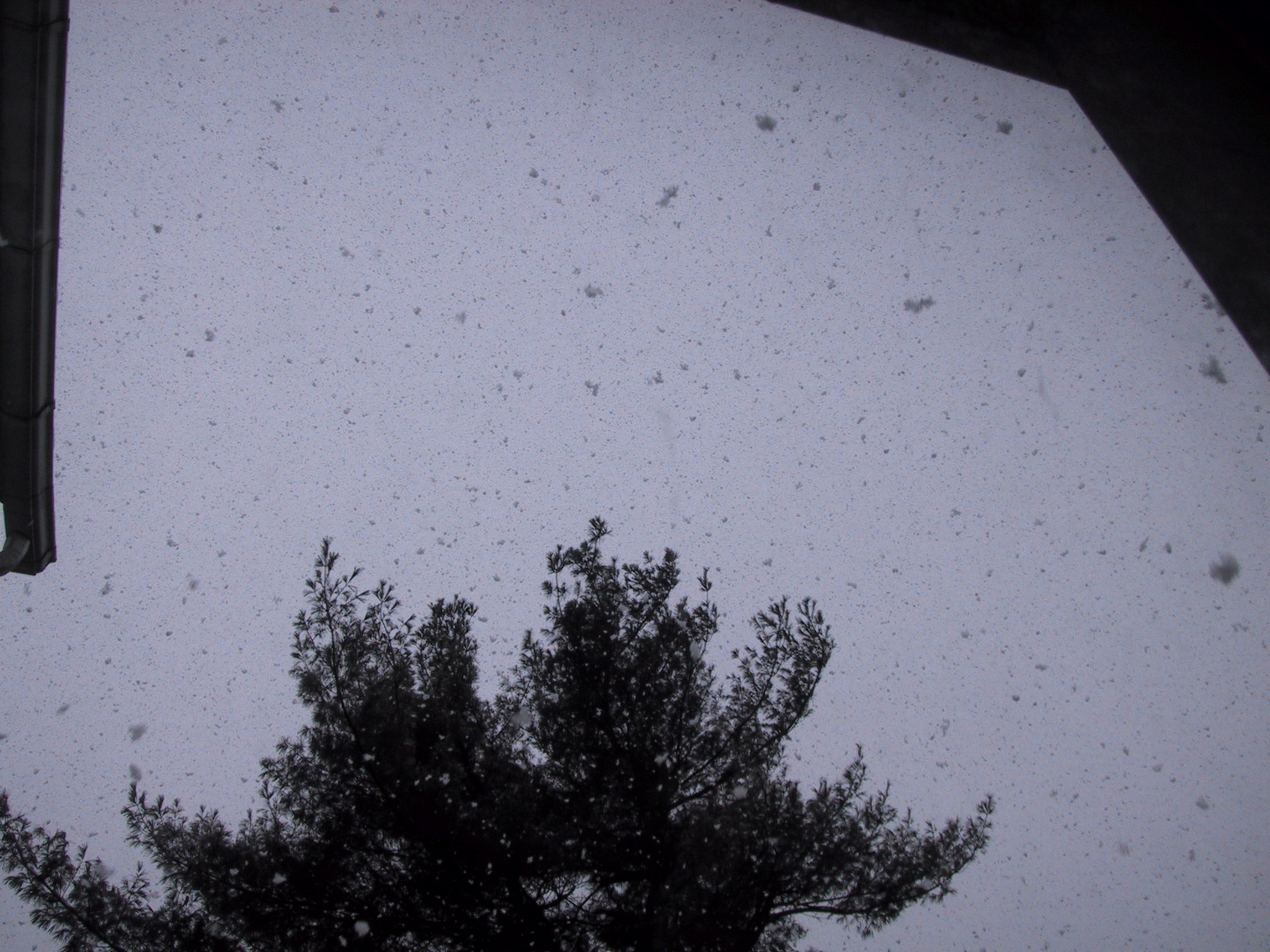 Click to see big picture (2048x1536 pixels; 978 KB))