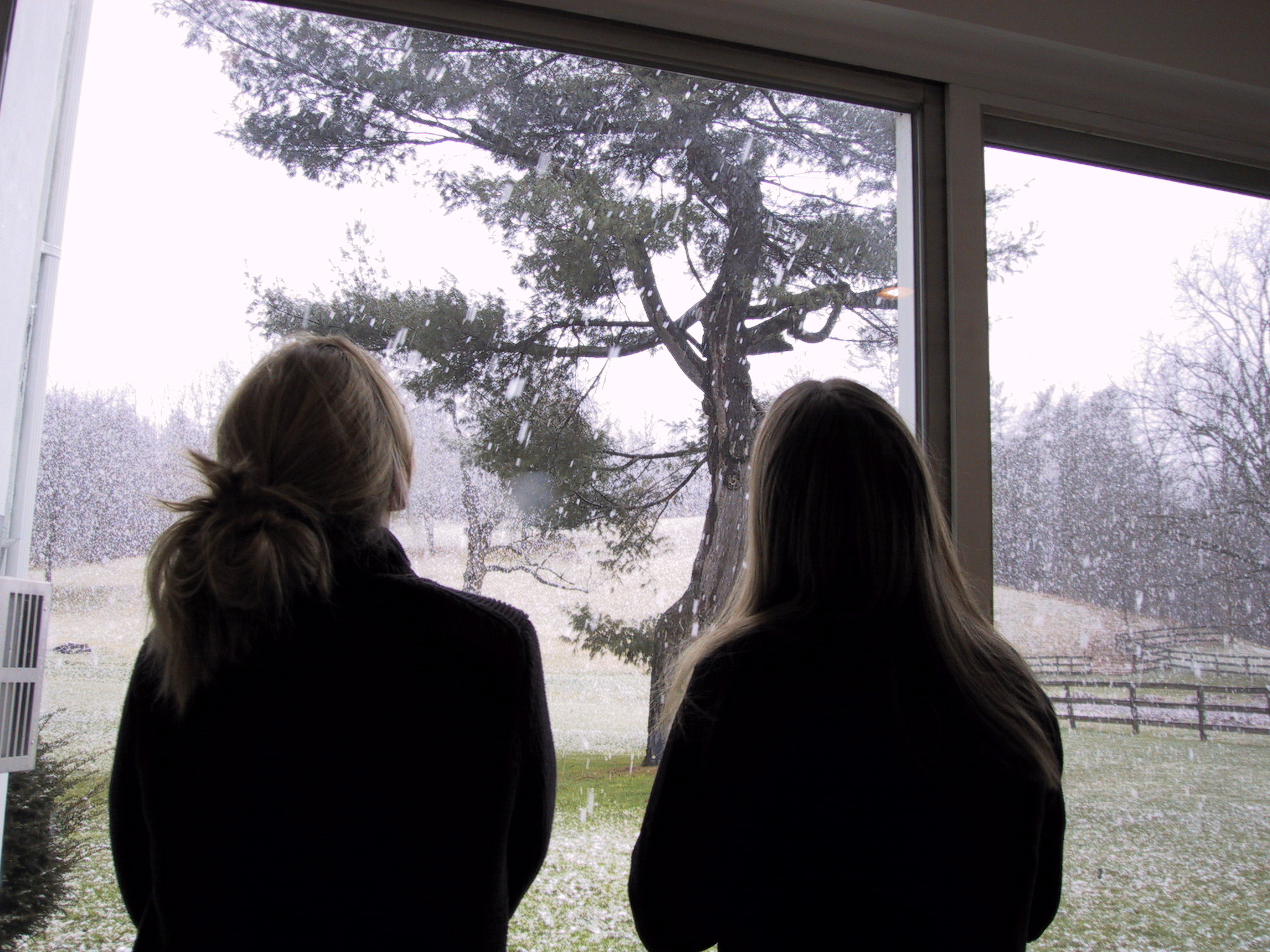 Click to see big picture (2048x1536 pixels; 870 KB))