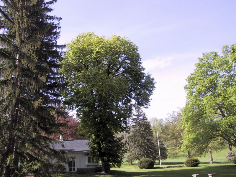 Click to see big picture (800x600 pixels; 439 KB))