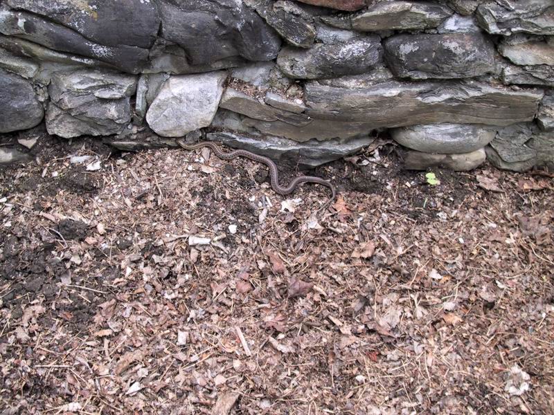 Click to see big picture (800x600 pixels; 174 KB))