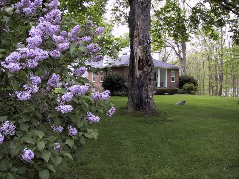 Click to see big picture (800x600 pixels; 141 KB))