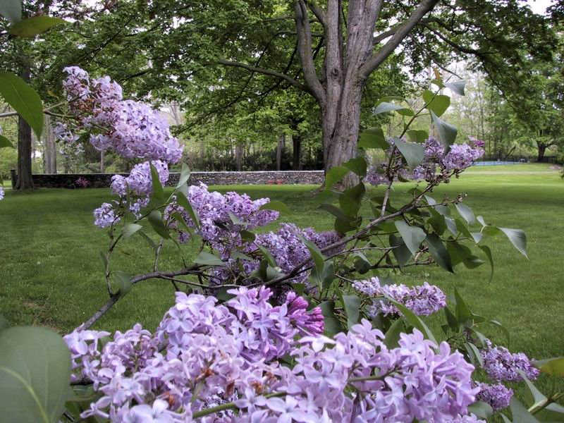 Click to see big picture (800x600 pixels; 146 KB))