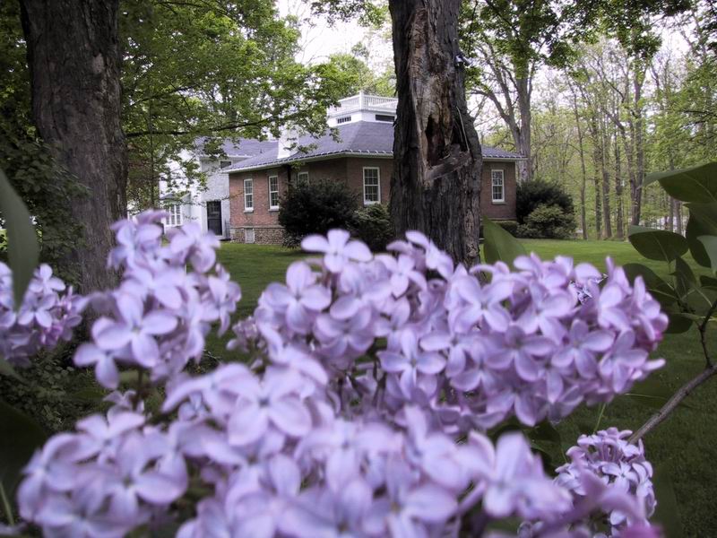 Click to see big picture (800x600 pixels; 113 KB))