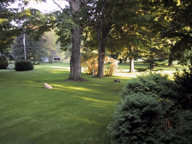 Click to see big picture (676x507 pixels; 339 KB))