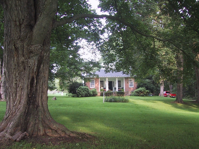 Click to see big picture (676x507 pixels; 339 KB))