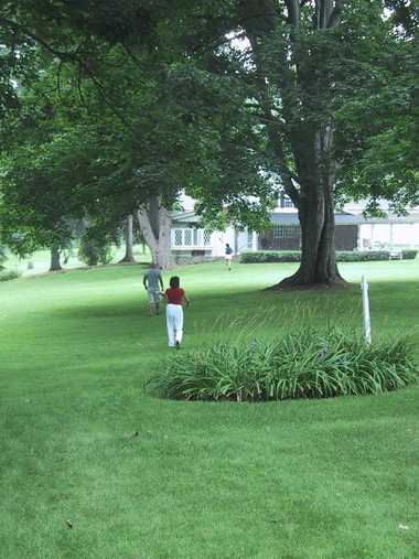 Click to see big picture (380x507 pixels; 189 KB))